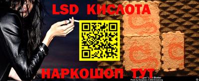 spice Камышлов