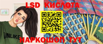 spice Камышлов