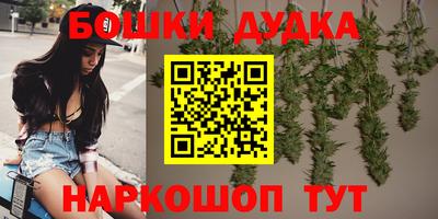 spice Камышлов