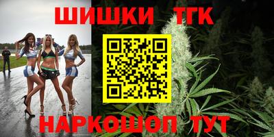 spice Камышлов