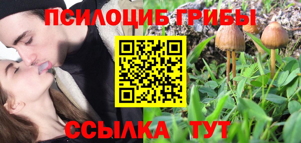 Псилоцибиновые грибы ЛСД Донецк