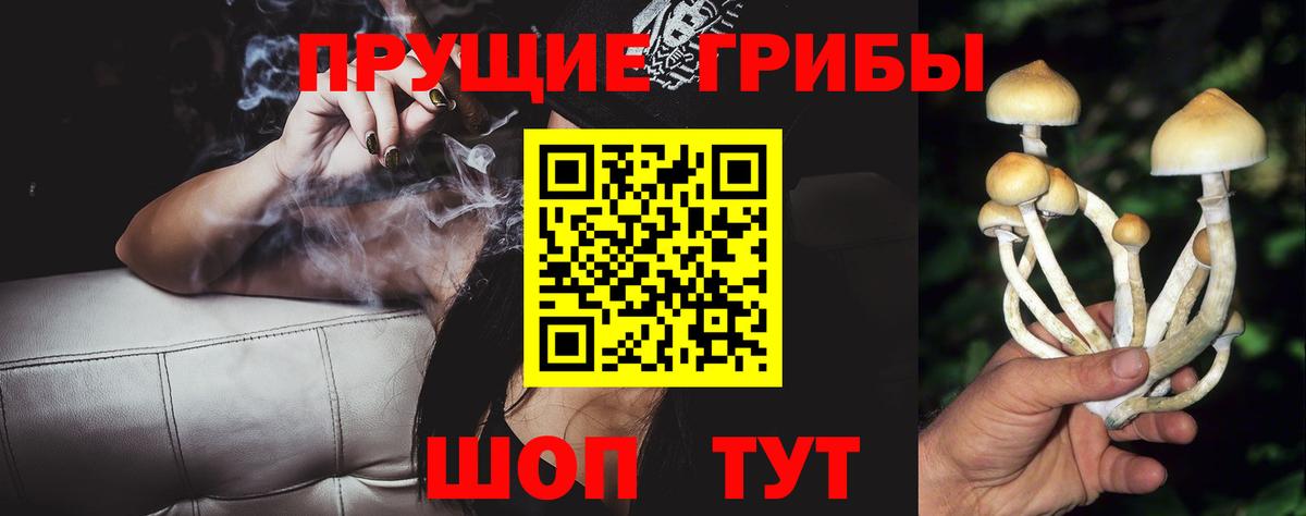 Донецк  Галлюциногенные грибы Psilocybe  Вход с VPN 